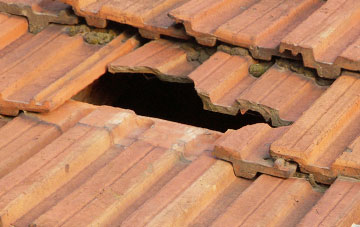 roof repair Bishton